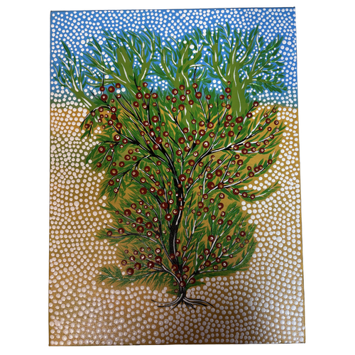 Original Aboriginal Art Stretched Canvas (40cm x 30cm) - Flowering Hop Bush on Kullilli Country