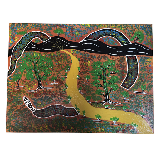Original Aboriginal Art Stretched Canvas (40cm x 30cm) - Rainbow Serpent Country