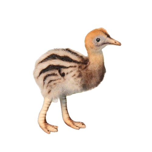 Hansa Creations Baby Cassowary (16cm)