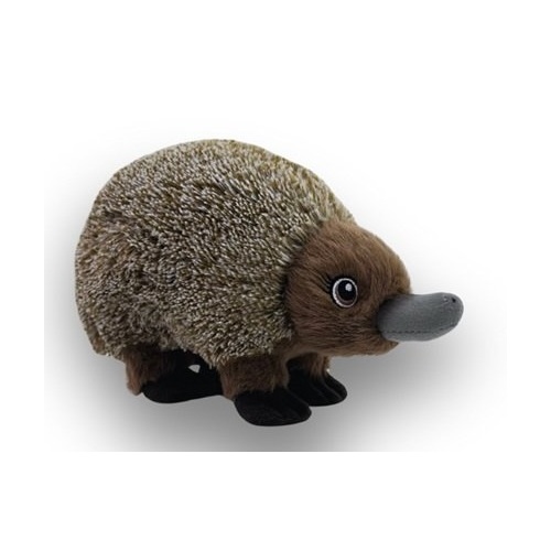 Echidna [18cm] Plush Toy - Eco Bubs