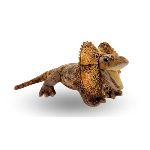 Frilled Neck Lizard Plush Toy -  [50cm] 100% Recycled