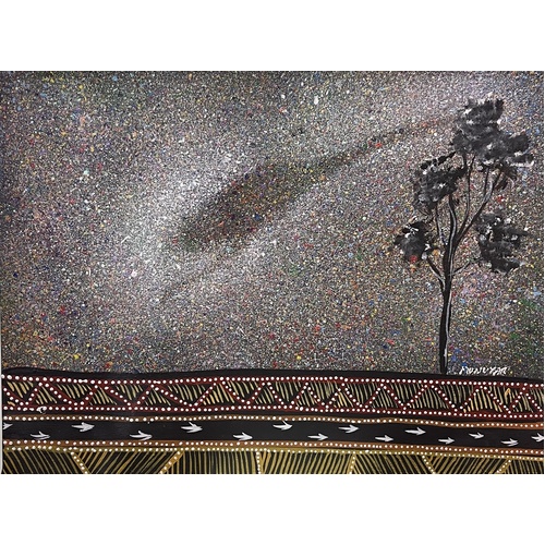 David Miller Stretched Canvas (50cm x 40cm) - Emu in the Night Sky [#18]