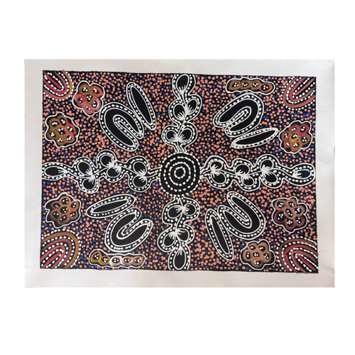 Raintree Aboriginal Art UNStretched Canvas (60cm x 45cm) - Bush Tucker