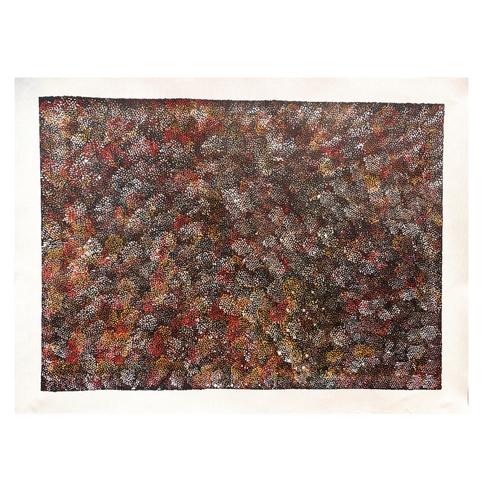 Raintree Aboriginal Art UNStretched Canvas (60cm x 45cm) -  Thorny Lizard Dreaming