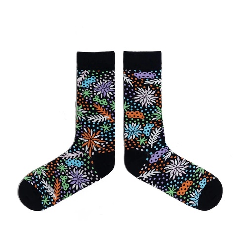 Spencer Flynn MEN'S Aboriginal Art Socks - Bush Medicine