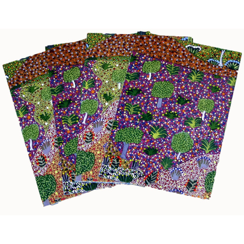 Aboriginal medicine essay image